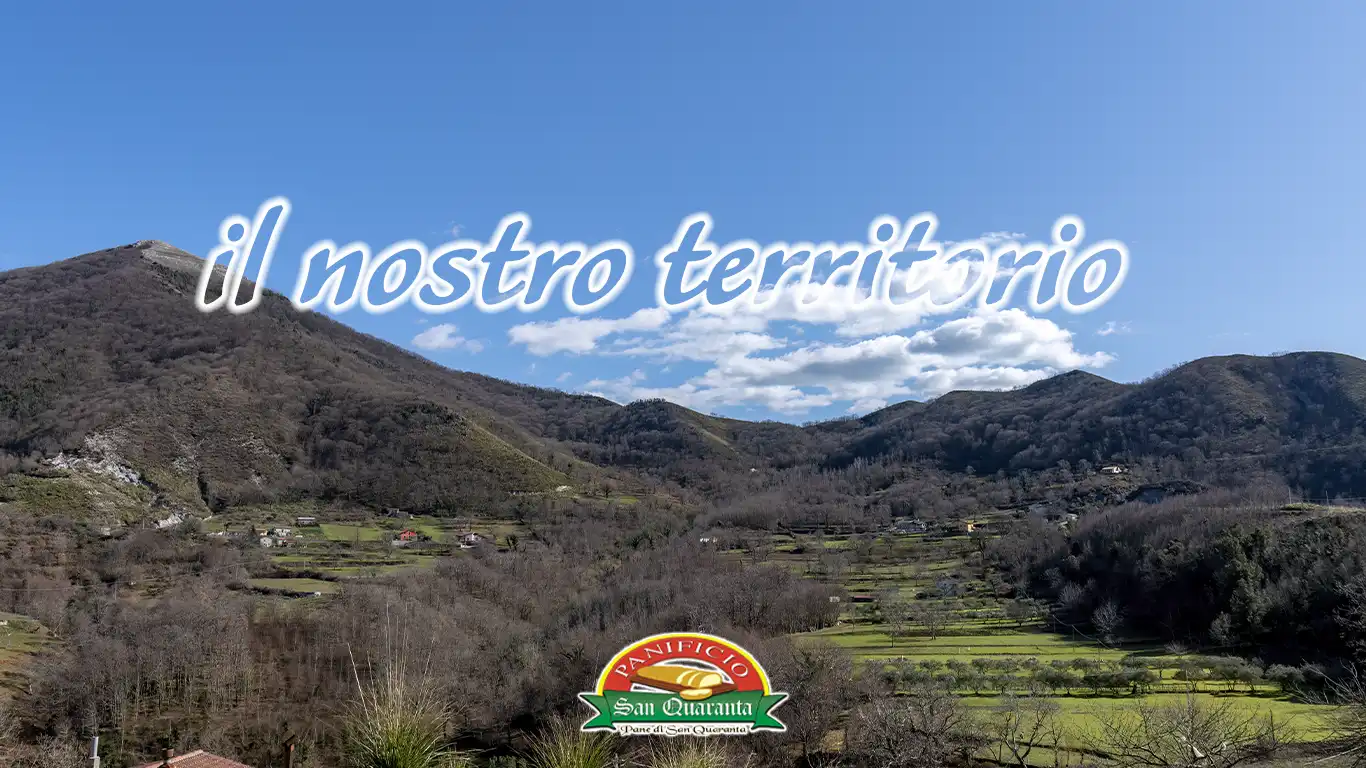 Il Nostro Territorio