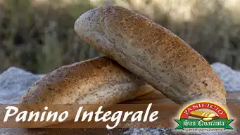 Panino Integrale