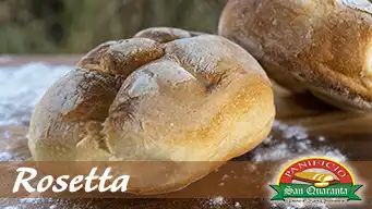 La Rosetta