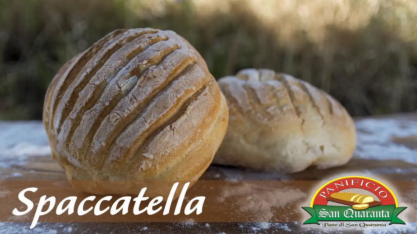 La Spaccatella: Panino del Panificio San Quaranta di Tortora (CS)