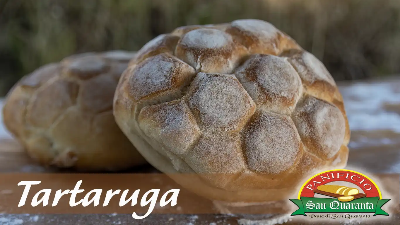 Panino a Tartaruga del Panificio San Quaranta di Tortora (Calabria)