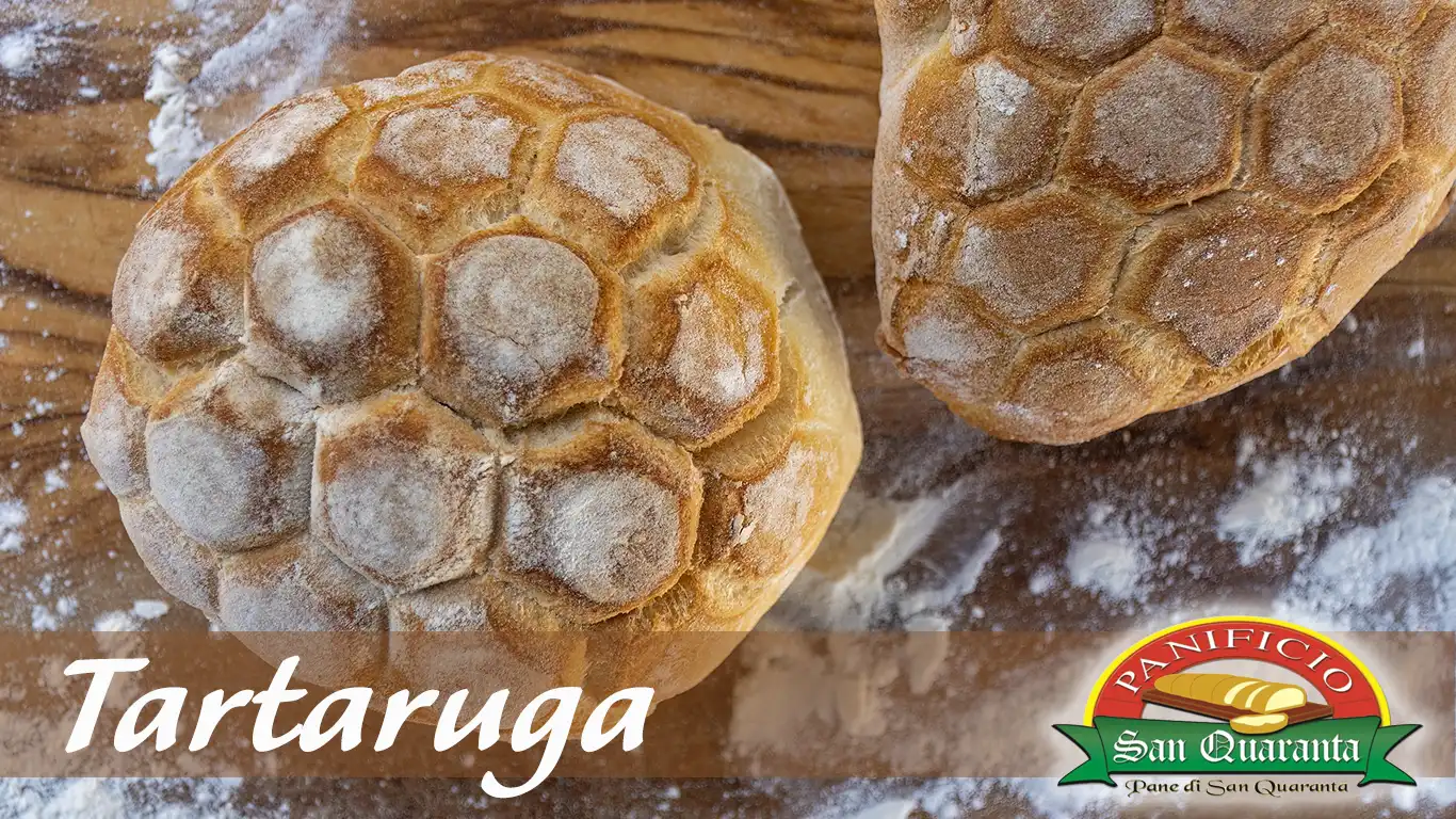 Panino a Tartaruga del Panificio San Quaranta di Tortora (Calabria)